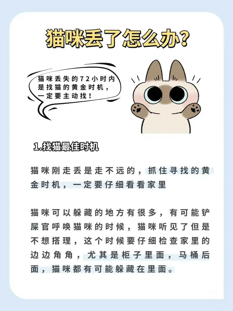猫咪丢了怎么找回来_猫咪丢了找回来的巧方法-第5张图片-后鲨宠物 猫咪丢了怎么找回来_猫咪丢了找回来的巧方法-第5张图片-后鲨宠物
