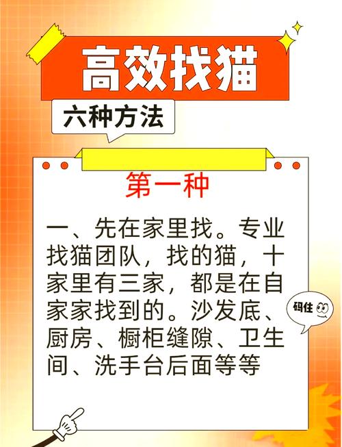 猫咪丢了怎么找回来_猫咪丢了找回来的巧方法-第6张图片-后鲨宠物 猫咪丢了怎么找回来_猫咪丢了找回来的巧方法-第6张图片-后鲨宠物
