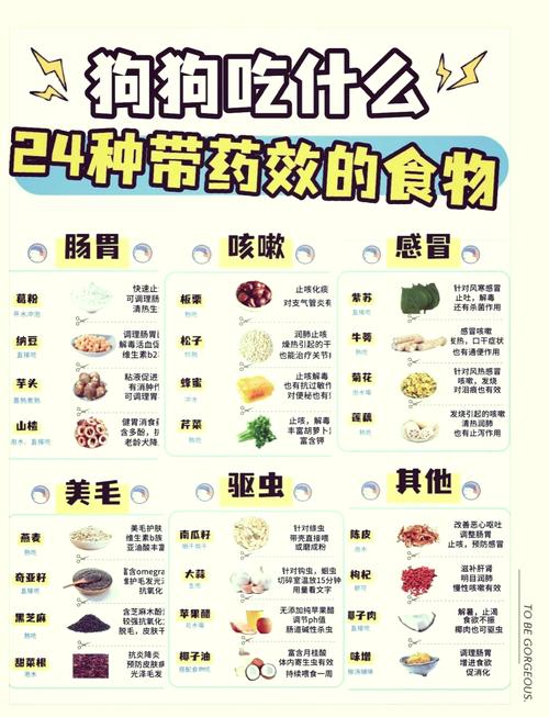 狗狗可以吃阿胶糕吗,狗狗能不能吃阿胶糕?-第3张图片-后鲨宠物 狗狗可以吃阿胶糕吗,狗狗能不能吃阿胶糕?-第3张图片-后鲨宠物