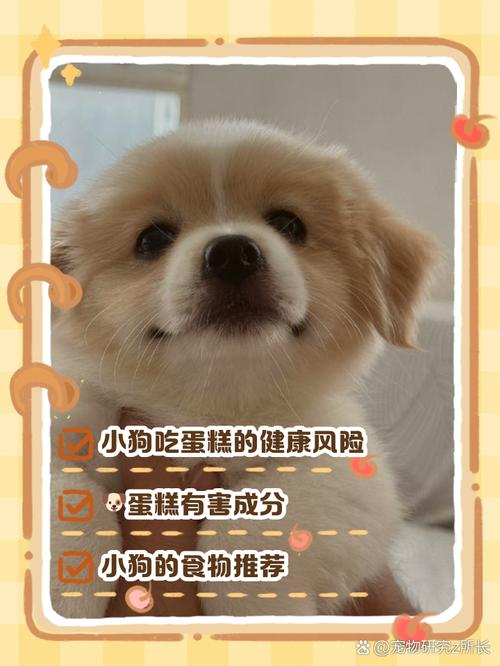 狗狗能吃蛋糕吗,狗狗能吃蛋糕吗幼犬-第2张图片-后鲨宠物 狗狗能吃蛋糕吗,狗狗能吃蛋糕吗幼犬-第2张图片-后鲨宠物