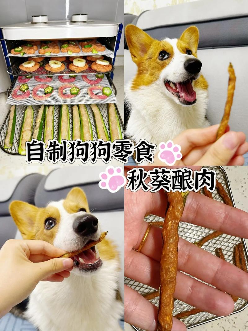 怎么制作狗狗零食,怎么制作狗狗零食教程-第4张图片-后鲨宠物 怎么制作狗狗零食,怎么制作狗狗零食教程-第4张图片-后鲨宠物