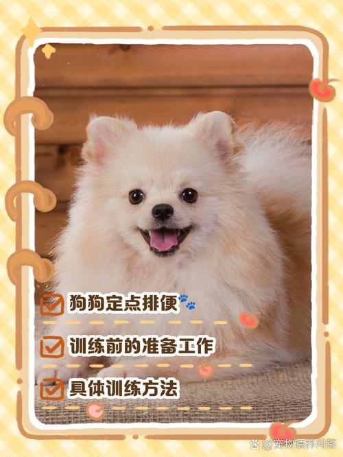 怎么让狗狗拉屎,狗狗拉不出屎该怎么办-第3张图片-后鲨宠物 怎么让狗狗拉屎,狗狗拉不出屎该怎么办-第3张图片-后鲨宠物