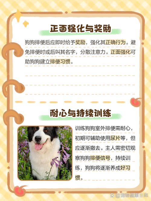 怎么让狗狗拉屎,狗狗拉不出屎该怎么办-第4张图片-后鲨宠物 怎么让狗狗拉屎,狗狗拉不出屎该怎么办-第4张图片-后鲨宠物