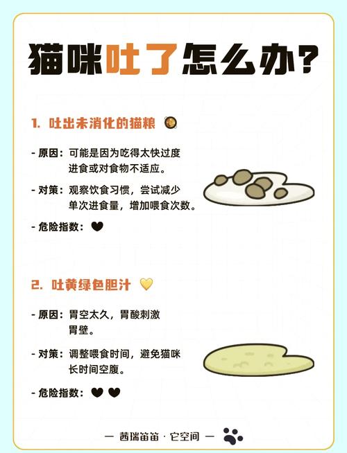 猫咪吐白沫不吃东西,猫咪口吐白沫不吃不喝怎么办-第1张图片-后鲨宠物 猫咪吐白沫不吃东西,猫咪口吐白沫不吃不喝怎么办-第1张图片-后鲨宠物