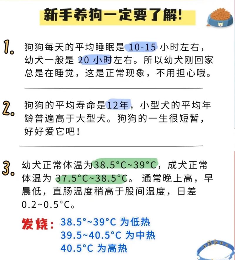 狗狗多少度算发烧,狗狗发烧摸哪里才知道-第6张图片-后鲨宠物 狗狗多少度算发烧,狗狗发烧摸哪里才知道-第6张图片-后鲨宠物