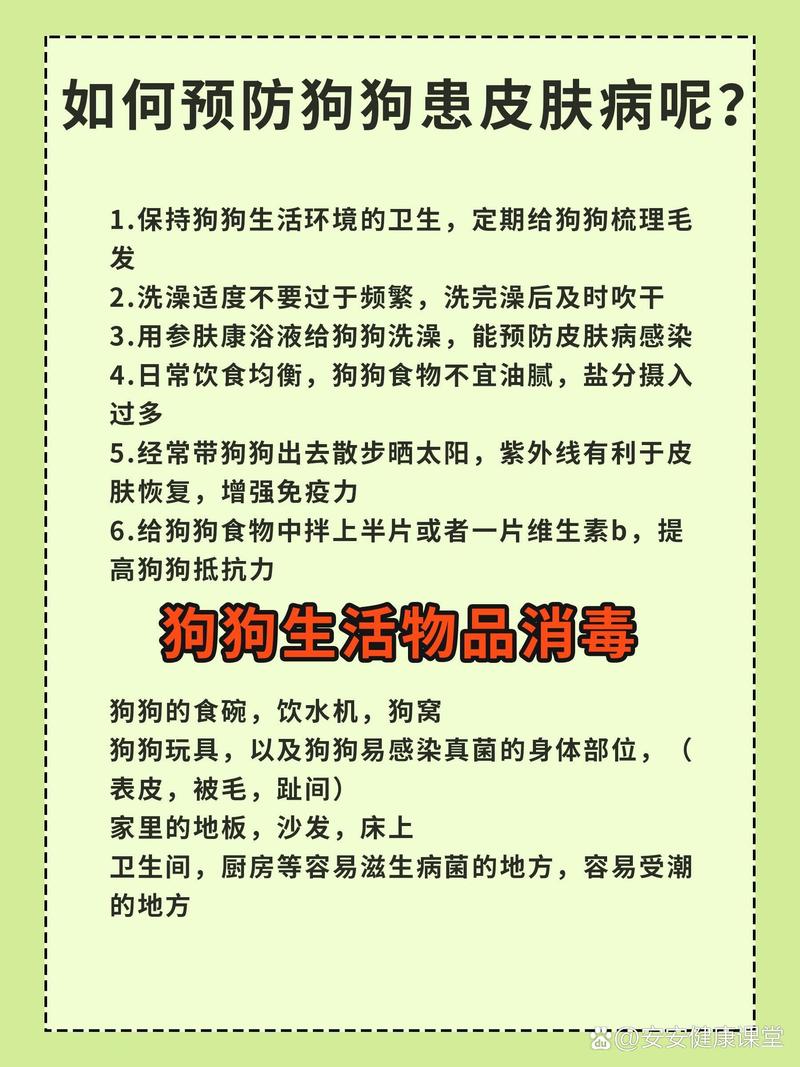 狗狗咳嗽会传染给人吗,狗狗咳嗽传染给其他狗狗吗-第2张图片-后鲨宠物 狗狗咳嗽会传染给人吗,狗狗咳嗽传染给其他狗狗吗-第2张图片-后鲨宠物