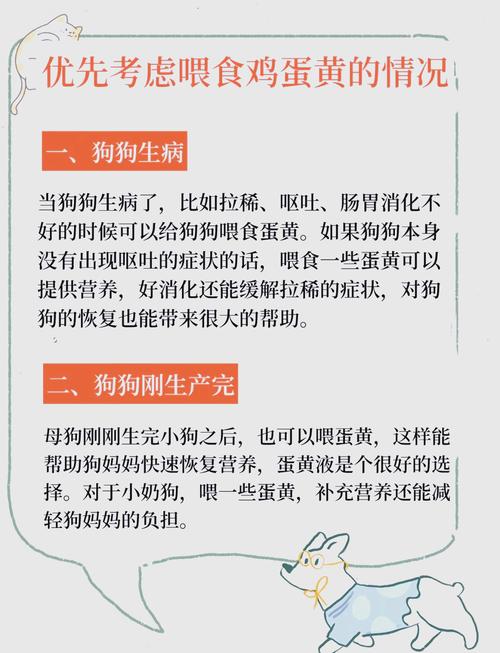 小狗狗能吃鸡蛋吗,小犬能吃鸡蛋吗?-第4张图片-后鲨宠物 小狗狗能吃鸡蛋吗,小犬能吃鸡蛋吗?-第4张图片-后鲨宠物