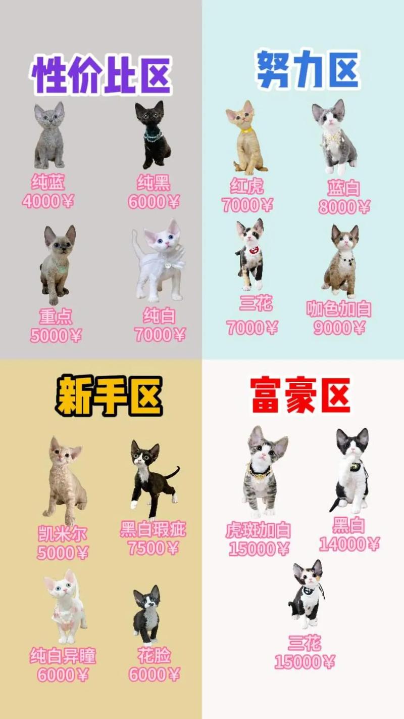 两个月的猫咪多重,两个月猫大概多重-第1张图片-后鲨宠物 两个月的猫咪多重,两个月猫大概多重-第1张图片-后鲨宠物