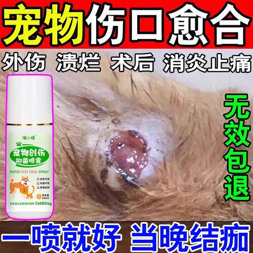 狗狗伤口化脓了怎么办,狗狗伤口化脓用什么药好得快?-第3张图片-后鲨宠物 狗狗伤口化脓了怎么办,狗狗伤口化脓用什么药好得快?-第3张图片-后鲨宠物