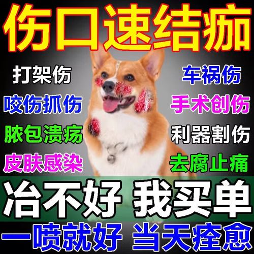狗狗伤口化脓了怎么办,狗狗伤口化脓用什么药好得快?-第4张图片-后鲨宠物 狗狗伤口化脓了怎么办,狗狗伤口化脓用什么药好得快?-第4张图片-后鲨宠物