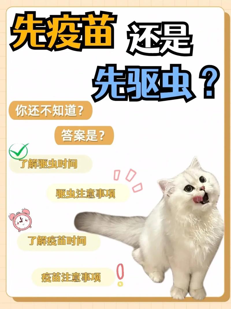 猫咪打疫苗前要驱虫吗_猫咪打疫苗前要先驱虫吗-第1张图片-后鲨宠物 猫咪打疫苗前要驱虫吗_猫咪打疫苗前要先驱虫吗-第1张图片-后鲨宠物