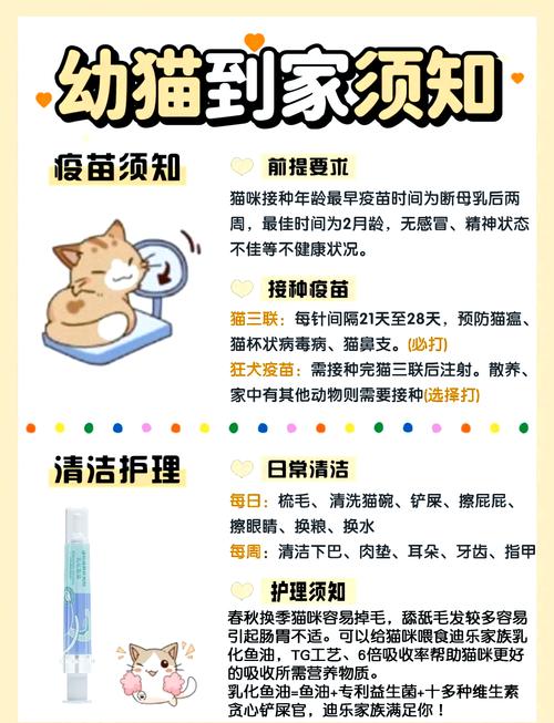 猫咪打疫苗前要驱虫吗_猫咪打疫苗前要先驱虫吗-第4张图片-后鲨宠物 猫咪打疫苗前要驱虫吗_猫咪打疫苗前要先驱虫吗-第4张图片-后鲨宠物