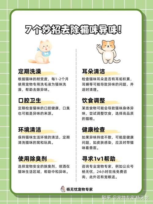 猫咪身上臭臭的怎么办,猫猫身上臭了怎么办-第1张图片-后鲨宠物 猫咪身上臭臭的怎么办,猫猫身上臭了怎么办-第1张图片-后鲨宠物