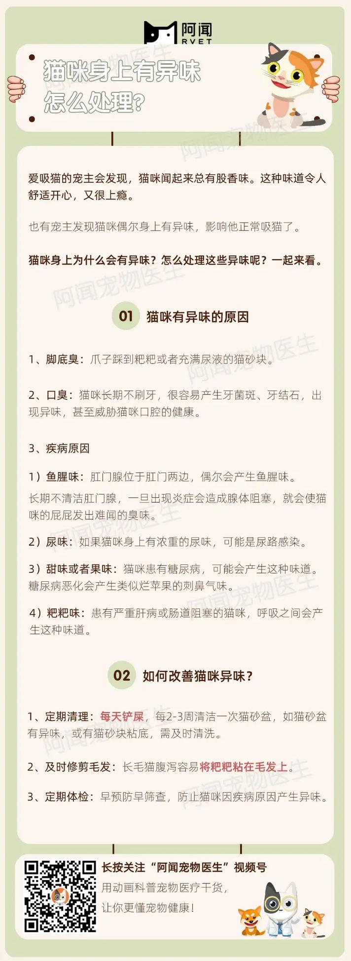 猫咪身上臭臭的怎么办,猫猫身上臭了怎么办-第2张图片-后鲨宠物 猫咪身上臭臭的怎么办,猫猫身上臭了怎么办-第2张图片-后鲨宠物