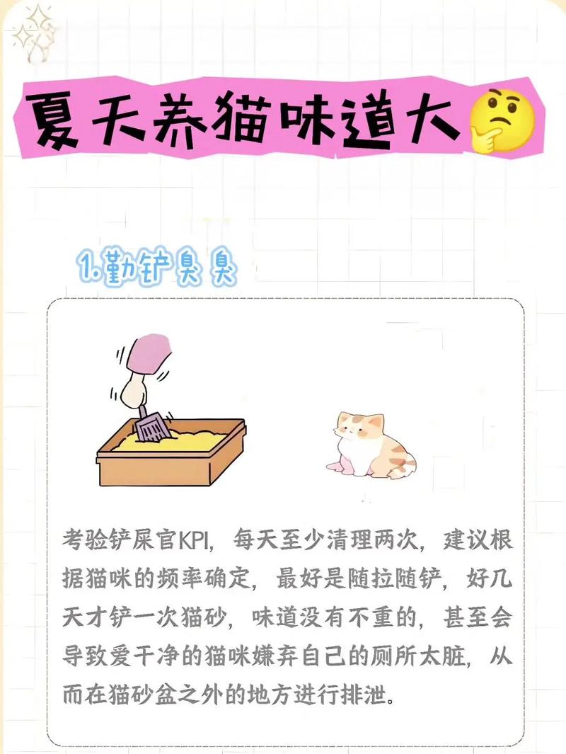 猫咪身上臭臭的怎么办,猫猫身上臭了怎么办-第3张图片-后鲨宠物 猫咪身上臭臭的怎么办,猫猫身上臭了怎么办-第3张图片-后鲨宠物