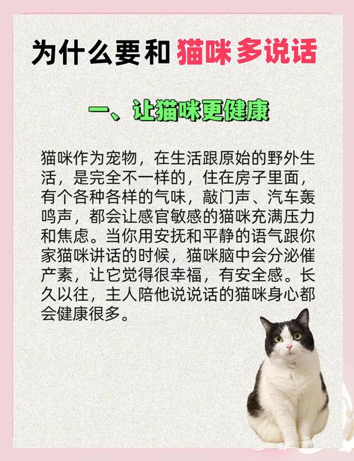 猫咪需要人陪吗_猫咪需不需要人陪-第1张图片-后鲨宠物 猫咪需要人陪吗_猫咪需不需要人陪-第1张图片-后鲨宠物