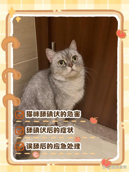 碘伏猫咪舔了会怎么样_宠物猫舔了碘伏有毒吗-第2张图片-后鲨宠物 碘伏猫咪舔了会怎么样_宠物猫舔了碘伏有毒吗-第2张图片-后鲨宠物