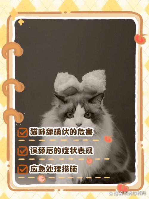 碘伏猫咪舔了会怎么样_宠物猫舔了碘伏有毒吗-第3张图片-后鲨宠物 碘伏猫咪舔了会怎么样_宠物猫舔了碘伏有毒吗-第3张图片-后鲨宠物