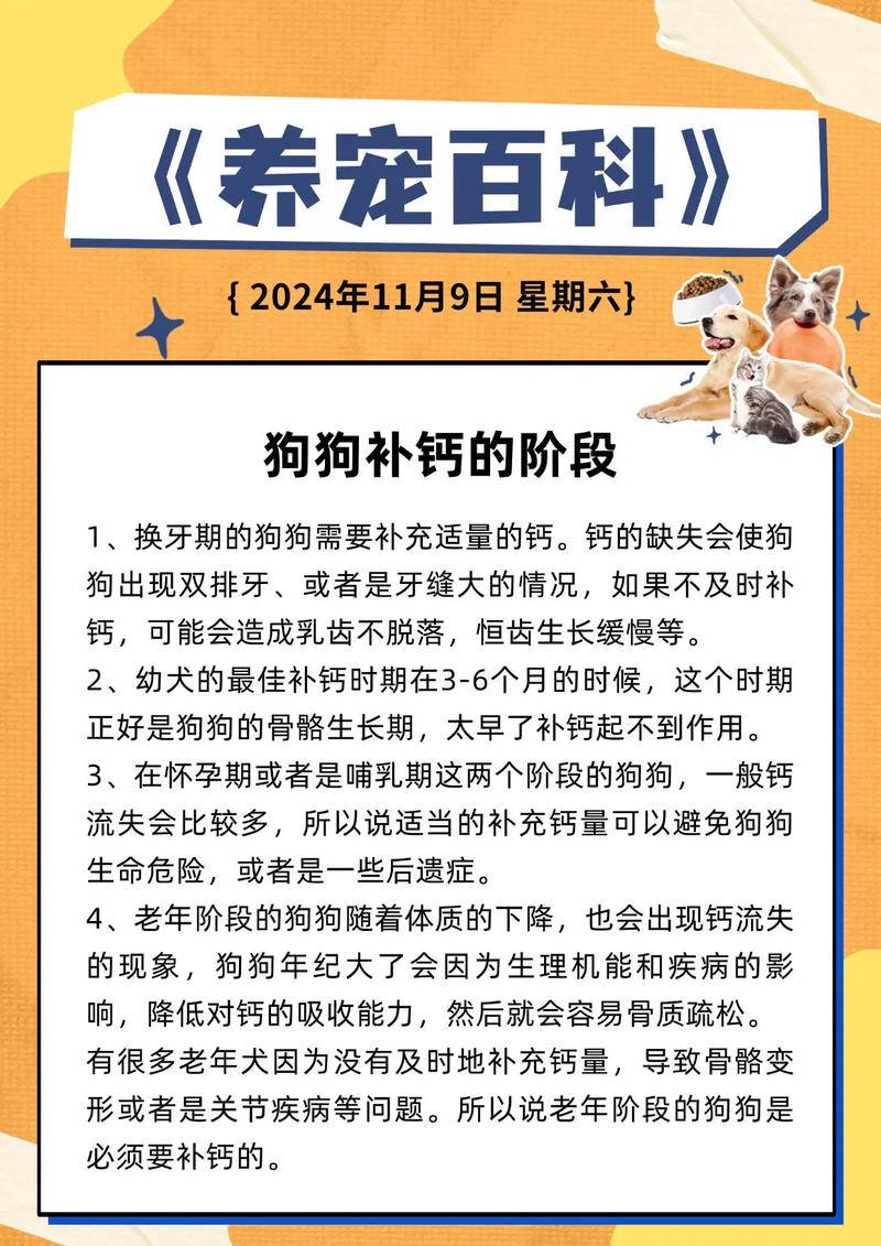 怎么给狗狗补钙_怎么给狗狗补钙零食-第1张图片-后鲨宠物 怎么给狗狗补钙_怎么给狗狗补钙零食-第1张图片-后鲨宠物