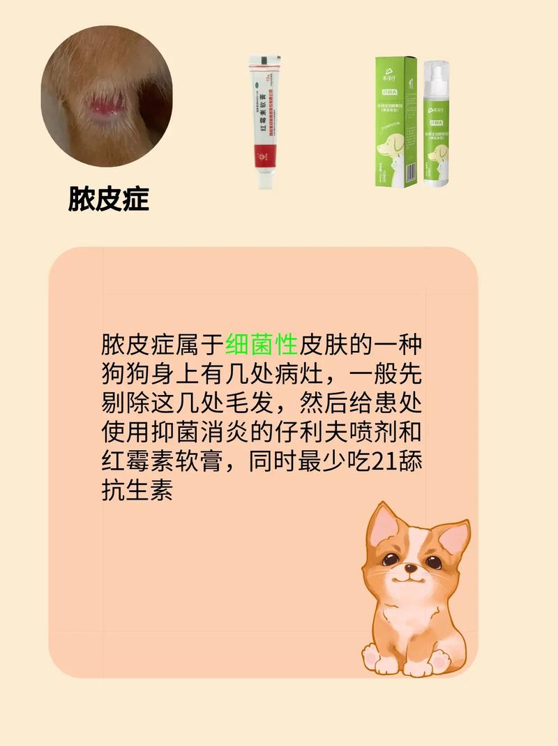 狗狗皮肤烂了擦什么药,狗狗皮肤烂了擦什么药膏?-第1张图片-后鲨宠物 狗狗皮肤烂了擦什么药,狗狗皮肤烂了擦什么药膏?-第1张图片-后鲨宠物