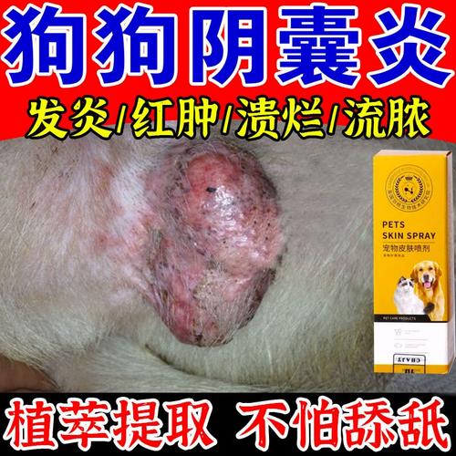 狗狗皮肤烂了擦什么药,狗狗皮肤烂了擦什么药膏?-第6张图片-后鲨宠物 狗狗皮肤烂了擦什么药,狗狗皮肤烂了擦什么药膏?-第6张图片-后鲨宠物