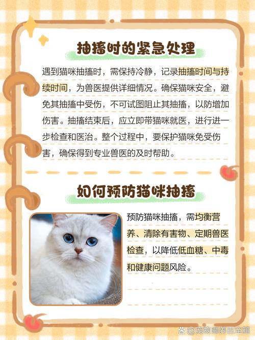 猫咪抽搐不停发抖_猫咪抽搐不停发抖怎么回事-第3张图片-后鲨宠物 猫咪抽搐不停发抖_猫咪抽搐不停发抖怎么回事-第3张图片-后鲨宠物