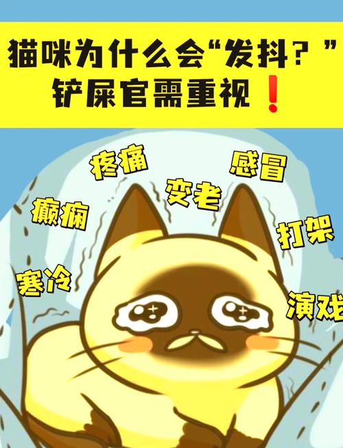 猫咪抽搐不停发抖_猫咪抽搐不停发抖怎么回事-第5张图片-后鲨宠物 猫咪抽搐不停发抖_猫咪抽搐不停发抖怎么回事-第5张图片-后鲨宠物