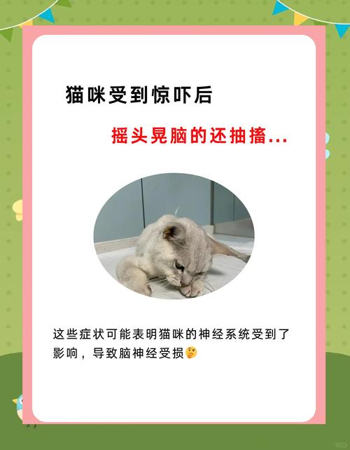 猫咪抽搐不停发抖_猫咪抽搐不停发抖怎么回事-第6张图片-后鲨宠物 猫咪抽搐不停发抖_猫咪抽搐不停发抖怎么回事-第6张图片-后鲨宠物