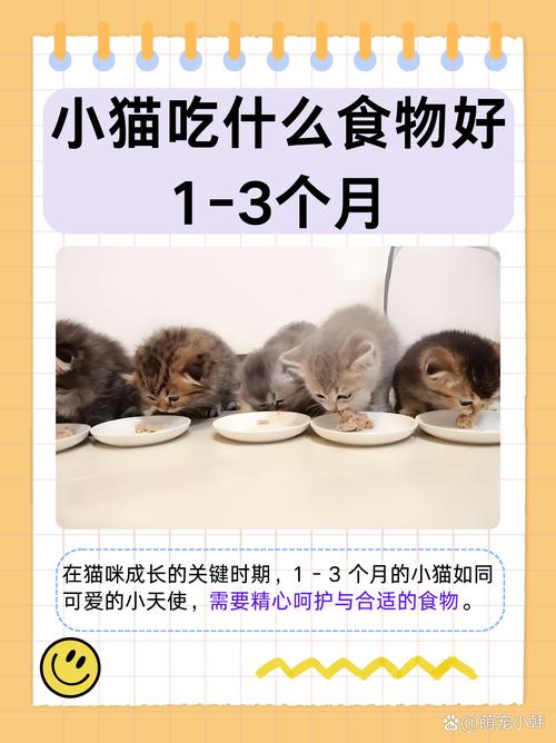 刚出生的小猫咪吃什么_刚出生的小猫咪吃啥-第2张图片-后鲨宠物 刚出生的小猫咪吃什么_刚出生的小猫咪吃啥-第2张图片-后鲨宠物