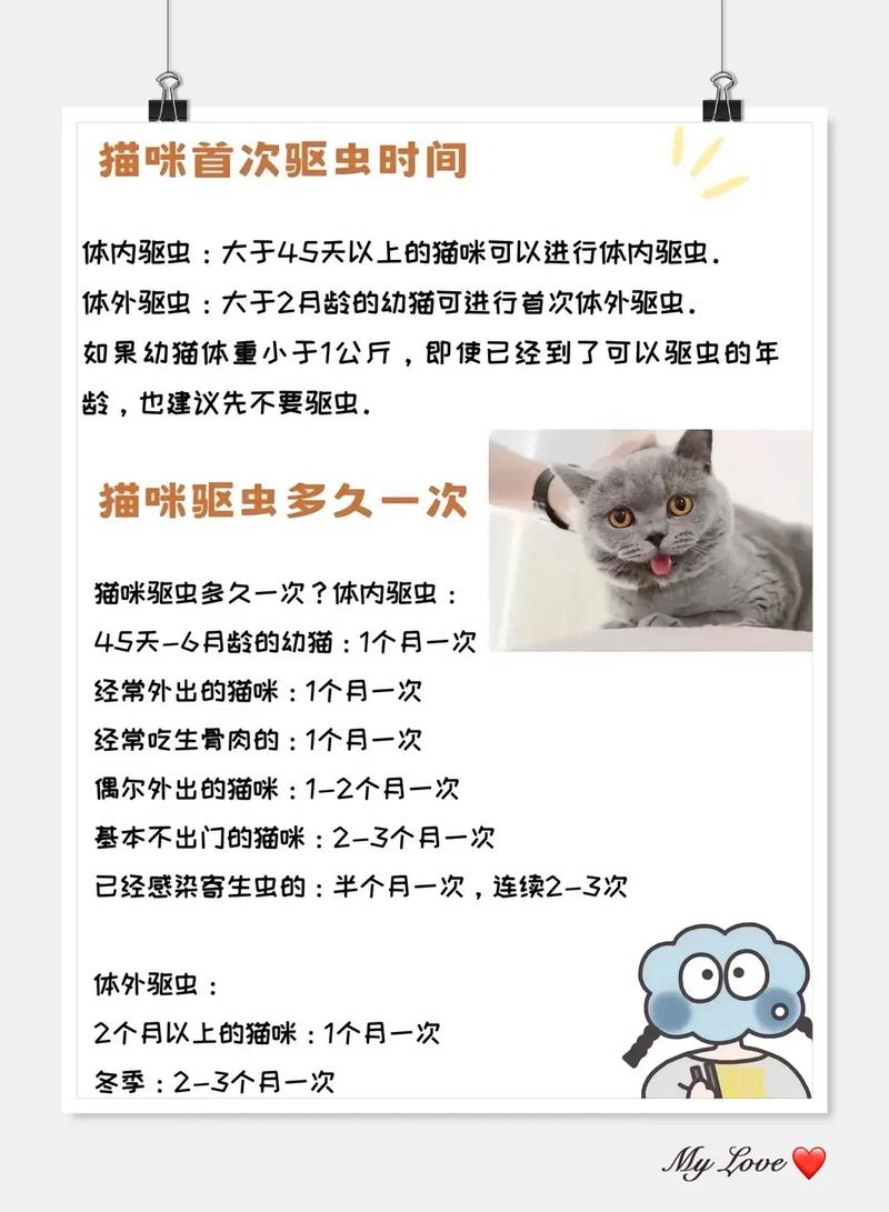 猫咪驱虫多少钱,猫咪驱虫多少钱需要做多少次?-第3张图片-后鲨宠物 猫咪驱虫多少钱,猫咪驱虫多少钱需要做多少次?-第3张图片-后鲨宠物