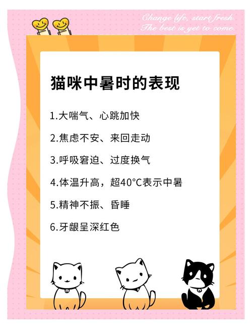 猫咪中暑什么症状表现_猫咪中暑什么症状表现呢-第2张图片-后鲨宠物 猫咪中暑什么症状表现_猫咪中暑什么症状表现呢-第2张图片-后鲨宠物