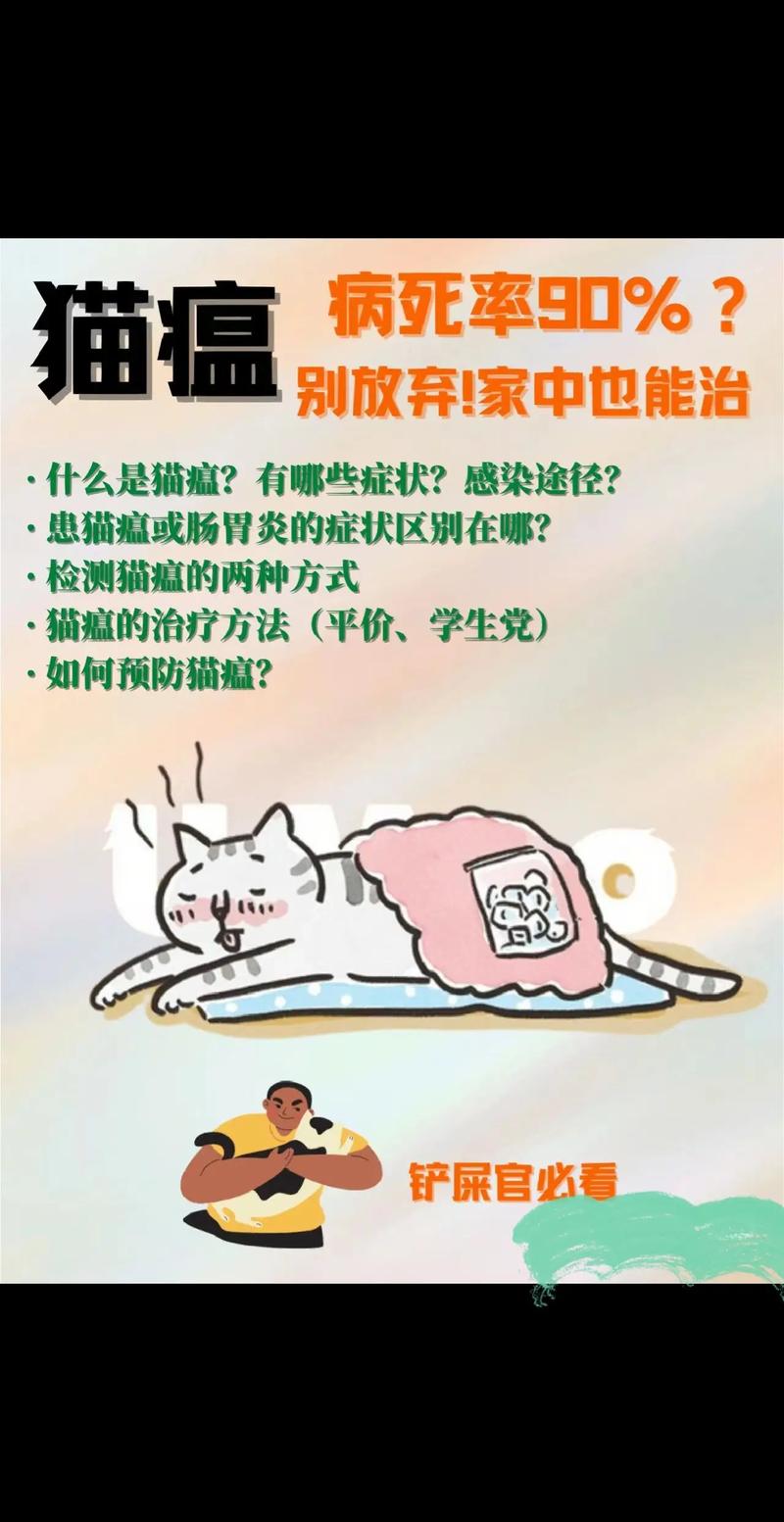 猫咪怎么会得猫瘟_猫咪怎么会得猫瘟呢-第2张图片-后鲨宠物 猫咪怎么会得猫瘟_猫咪怎么会得猫瘟呢-第2张图片-后鲨宠物