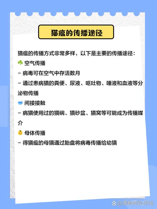 猫咪怎么会得猫瘟_猫咪怎么会得猫瘟呢-第5张图片-后鲨宠物 猫咪怎么会得猫瘟_猫咪怎么会得猫瘟呢-第5张图片-后鲨宠物