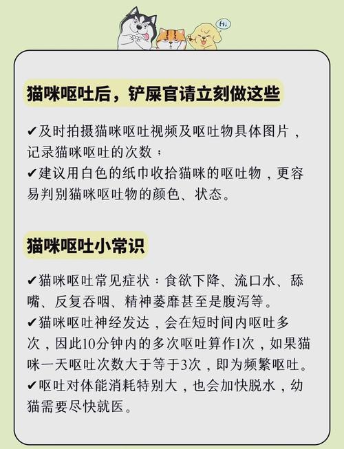 猫咪总吐怎么办_猫咪总吐为什么-第1张图片-后鲨宠物 猫咪总吐怎么办_猫咪总吐为什么-第1张图片-后鲨宠物