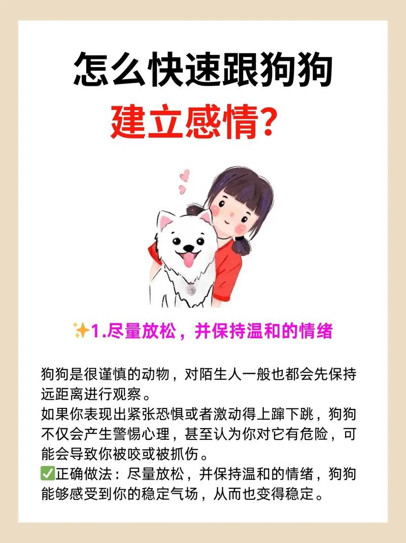 怎样和狗狗培养感情,如何和小狗培养感情?-第6张图片-后鲨宠物 怎样和狗狗培养感情,如何和小狗培养感情?-第6张图片-后鲨宠物