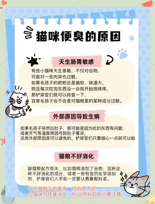 猫咪拉屎臭怎么办_猫拉屎臭正常么-第6张图片-后鲨宠物 猫咪拉屎臭怎么办_猫拉屎臭正常么-第6张图片-后鲨宠物