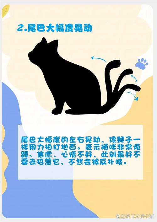 猫咪竖起尾巴什么意思_猫竖起尾巴是干嘛-第3张图片-后鲨宠物 猫咪竖起尾巴什么意思_猫竖起尾巴是干嘛-第3张图片-后鲨宠物