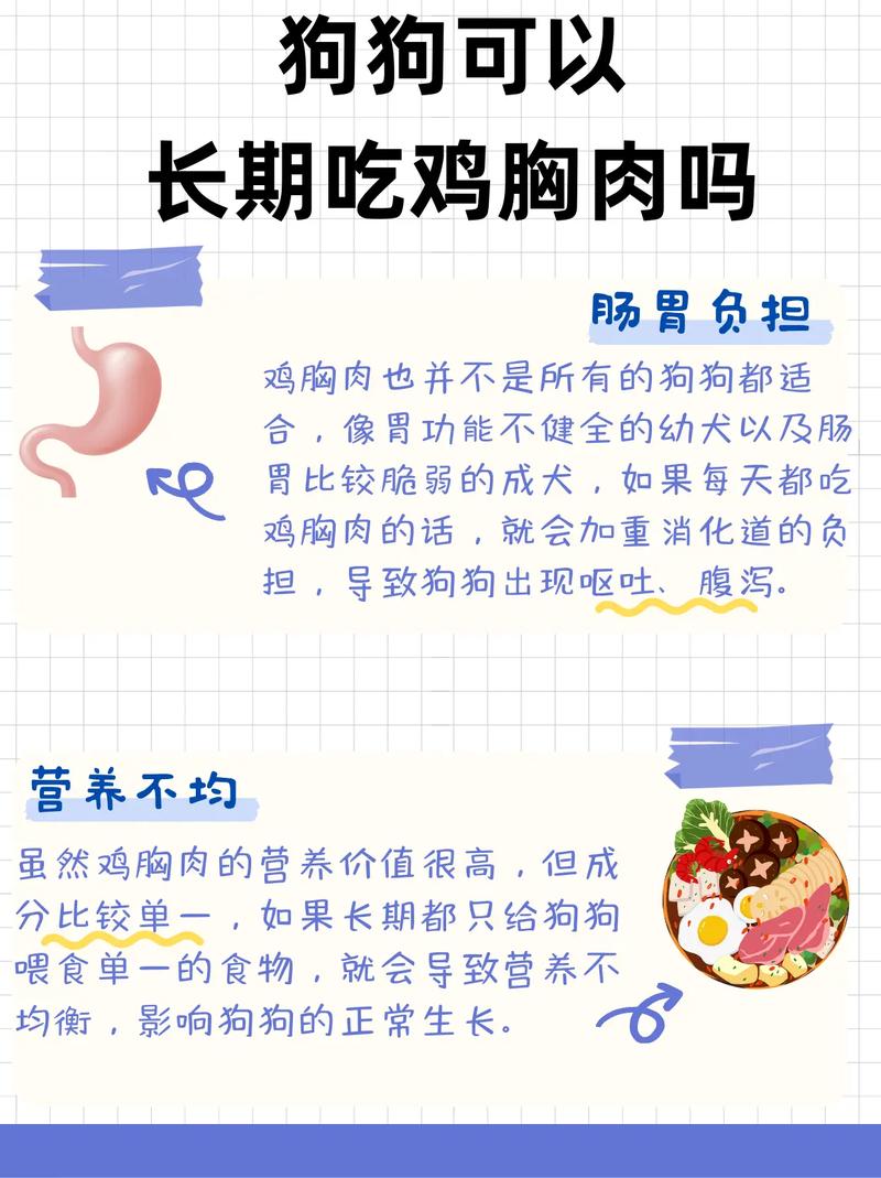 狗狗能吃鸡胸肉吗,狗狗可以吃鸡胸肉当主食吗-第1张图片-后鲨宠物 狗狗能吃鸡胸肉吗,狗狗可以吃鸡胸肉当主食吗-第1张图片-后鲨宠物