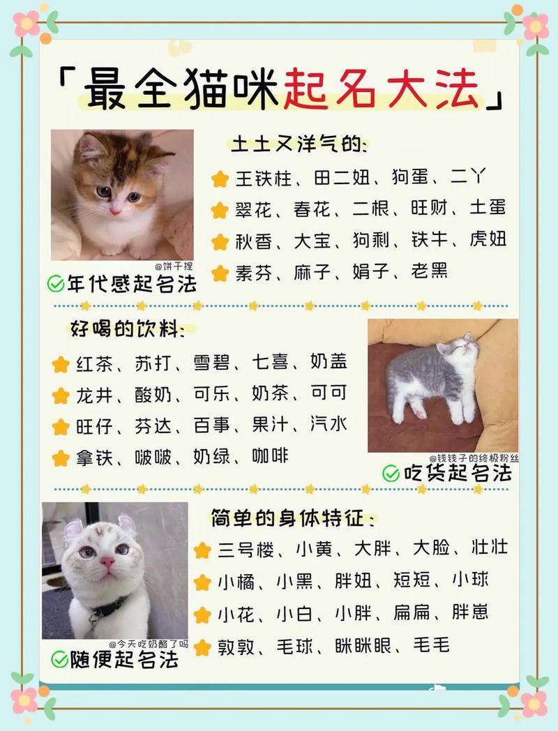 猫咪取什么名字好,黑白相间的猫咪取什么名字好-第1张图片-后鲨宠物 猫咪取什么名字好,黑白相间的猫咪取什么名字好-第1张图片-后鲨宠物