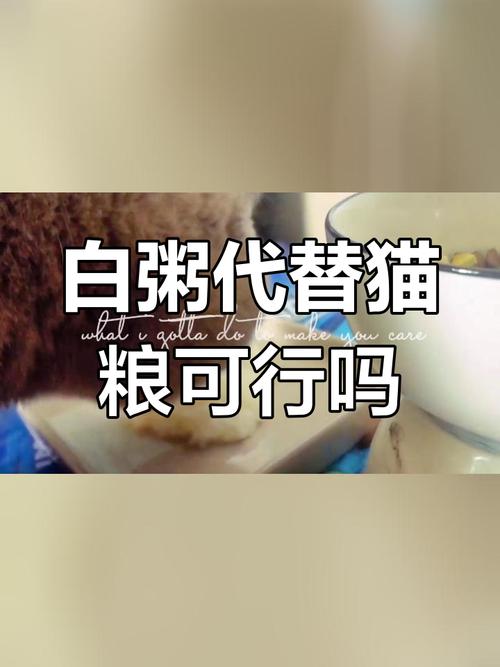 猫咪可以吃粥吗，猫咪可以吃粥吗?加点鸡蛋黄的那种？-第1张图片-后鲨宠物