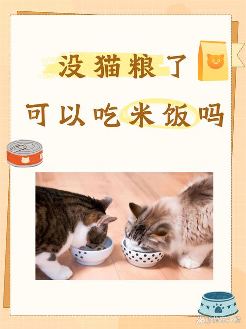 猫咪可以吃粥吗，猫咪可以吃粥吗?加点鸡蛋黄的那种？-第3张图片-后鲨宠物