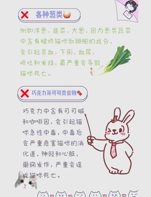 猫咪可以吃粥吗，猫咪可以吃粥吗?加点鸡蛋黄的那种？-第6张图片-后鲨宠物