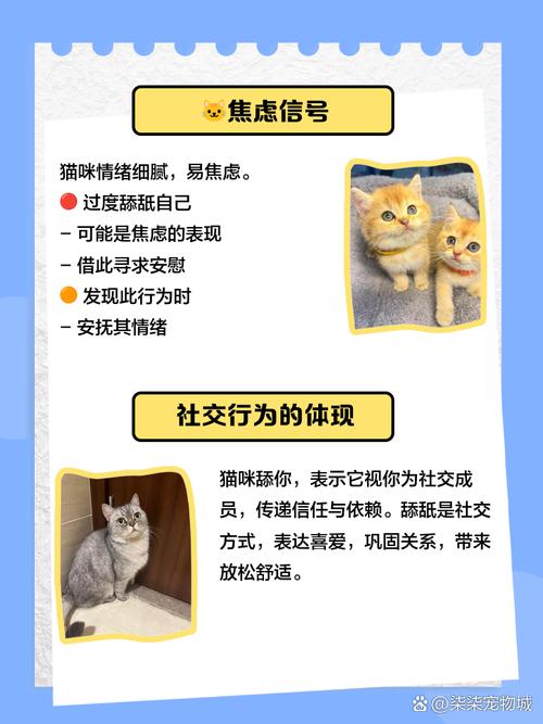 猫咪舔你代表什么,猫猫舔你说明什么?-第3张图片-后鲨宠物 猫咪舔你代表什么,猫猫舔你说明什么?-第3张图片-后鲨宠物