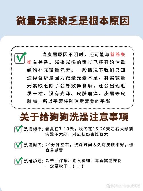 狗狗身上皮屑多怎么办_狗狗身上皮屑怎么治-第5张图片-后鲨宠物 狗狗身上皮屑多怎么办_狗狗身上皮屑怎么治-第5张图片-后鲨宠物