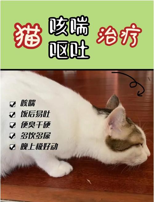 猫咪咳嗽干呕怎么回事_猫咪咳嗽干呕怎么办-第1张图片-后鲨宠物 猫咪咳嗽干呕怎么回事_猫咪咳嗽干呕怎么办-第1张图片-后鲨宠物