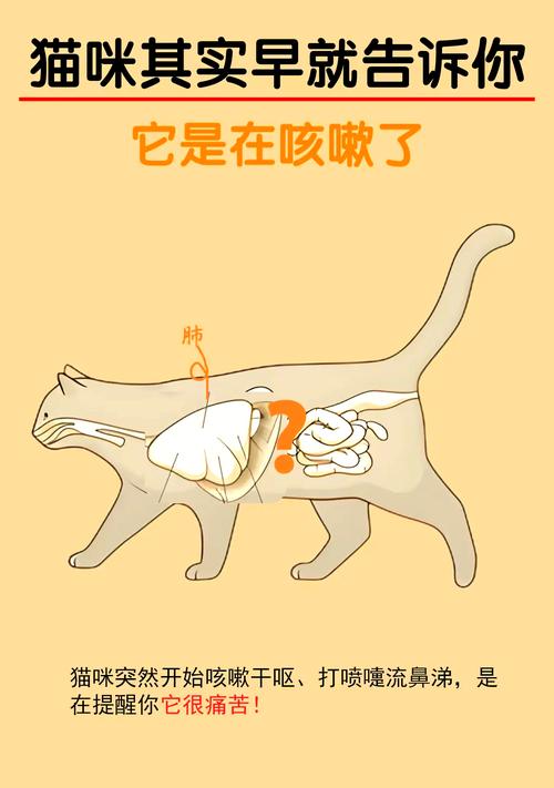 猫咪咳嗽干呕怎么回事_猫咪咳嗽干呕怎么办-第5张图片-后鲨宠物 猫咪咳嗽干呕怎么回事_猫咪咳嗽干呕怎么办-第5张图片-后鲨宠物