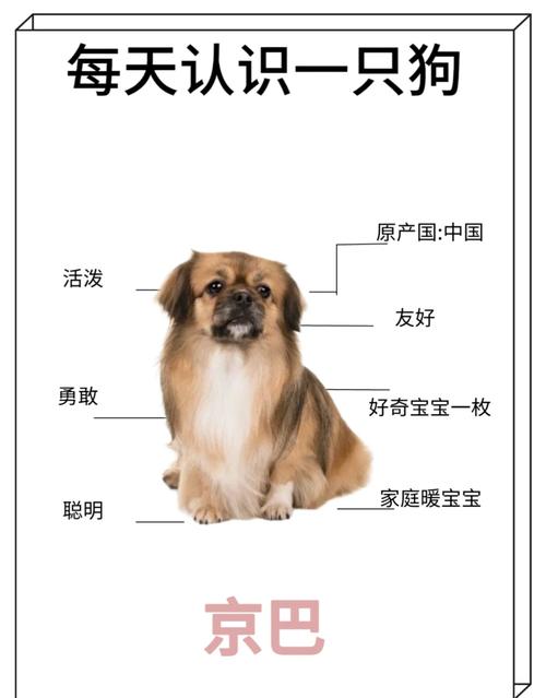 狗狗可以吃羊骨头吗，狗能吃羊骨嘛？-第3张图片-后鲨宠物