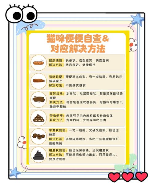 猫咪着凉拉肚子怎么办,猫着凉拉肚子会自愈吗-第1张图片-后鲨宠物 猫咪着凉拉肚子怎么办,猫着凉拉肚子会自愈吗-第1张图片-后鲨宠物