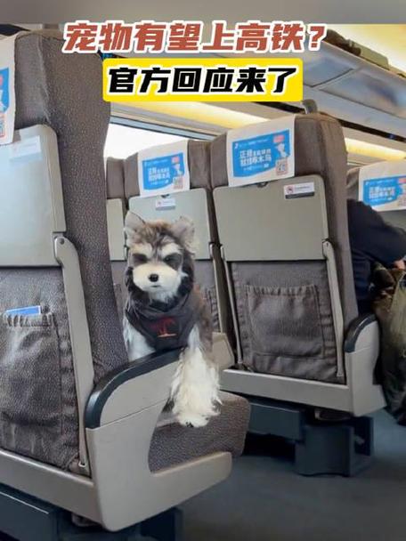 高铁上可以带狗狗吗，高铁可以带狗狗吗?？-第3张图片-后鲨宠物