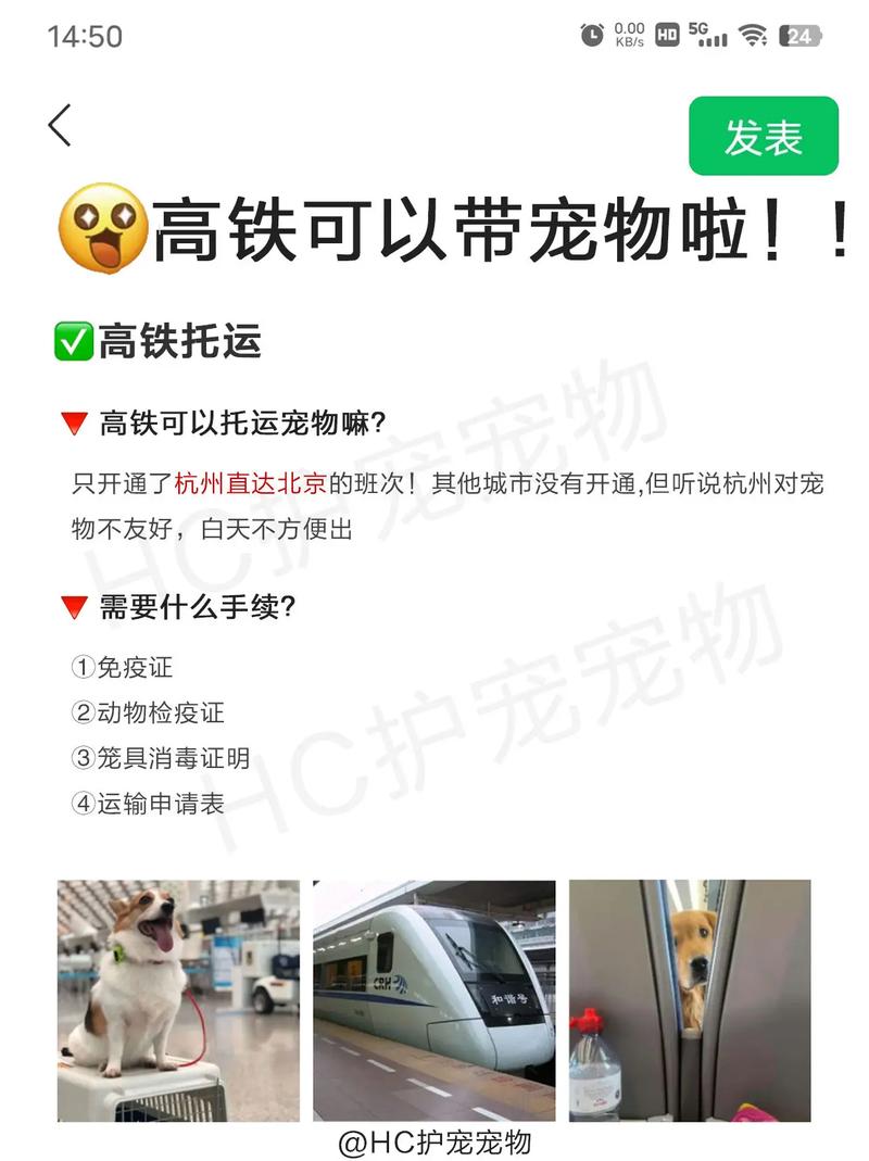 高铁上可以带狗狗吗，高铁可以带狗狗吗?？-第5张图片-后鲨宠物
